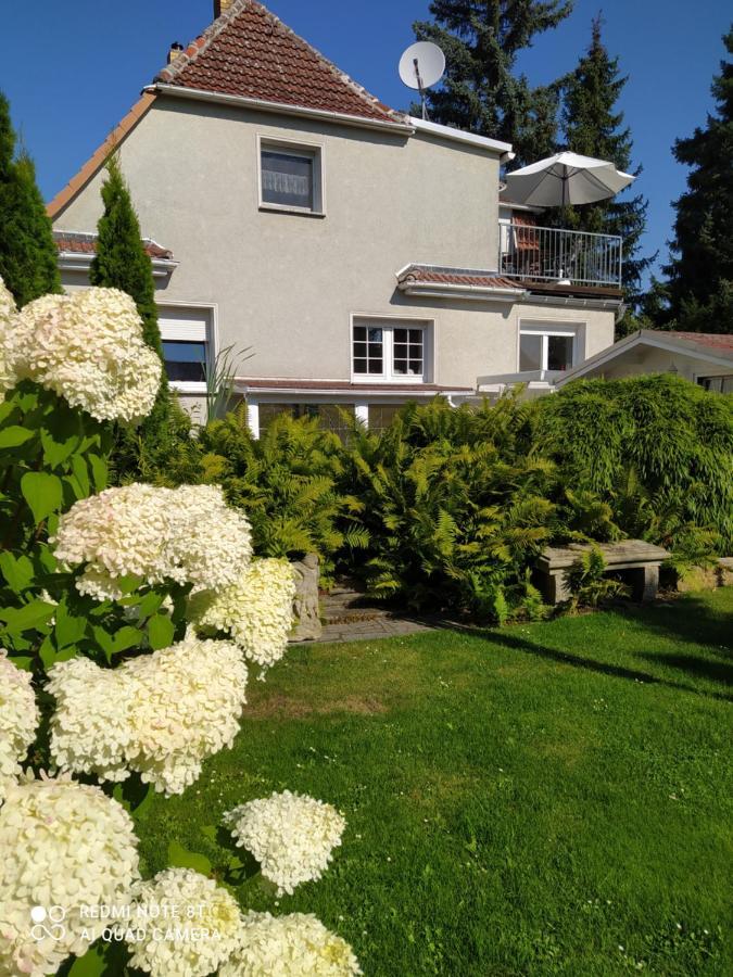 Kreativ Ferienwohnung Domizil Der Sinne Bad Liebenwerda Buitenkant foto